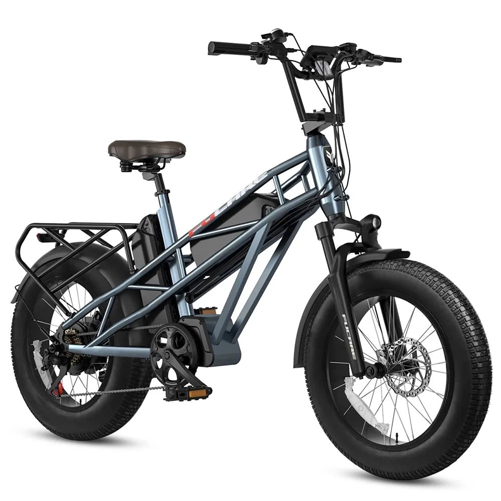 Fucare Electric Bike Gemini X for Adults 20x4.0 Fat Tire, 48V 30Ah Battery E-Bike - Womvr