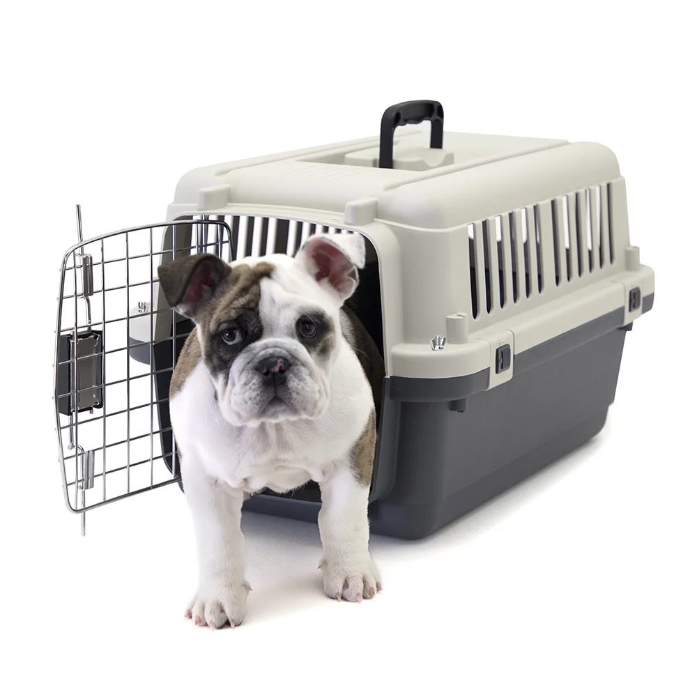 SportPet Designs Plastic Dog IATA Airline Approved Kennel Carrier, Medium, 1 Piece - Womvr