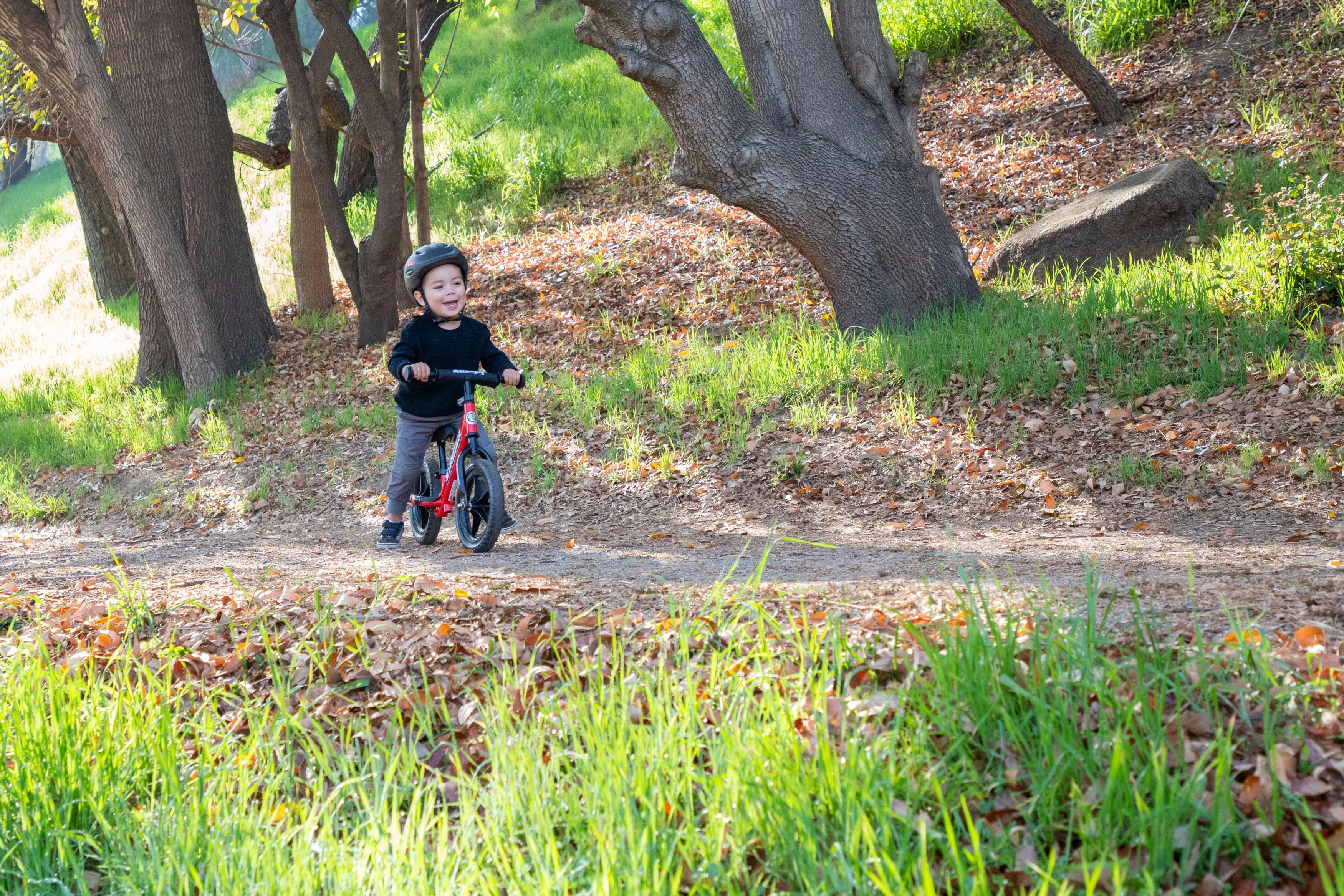 Strider - 12 Sport Balance Bike, Ages 18 Months to 5 Years - Blue - Womvr