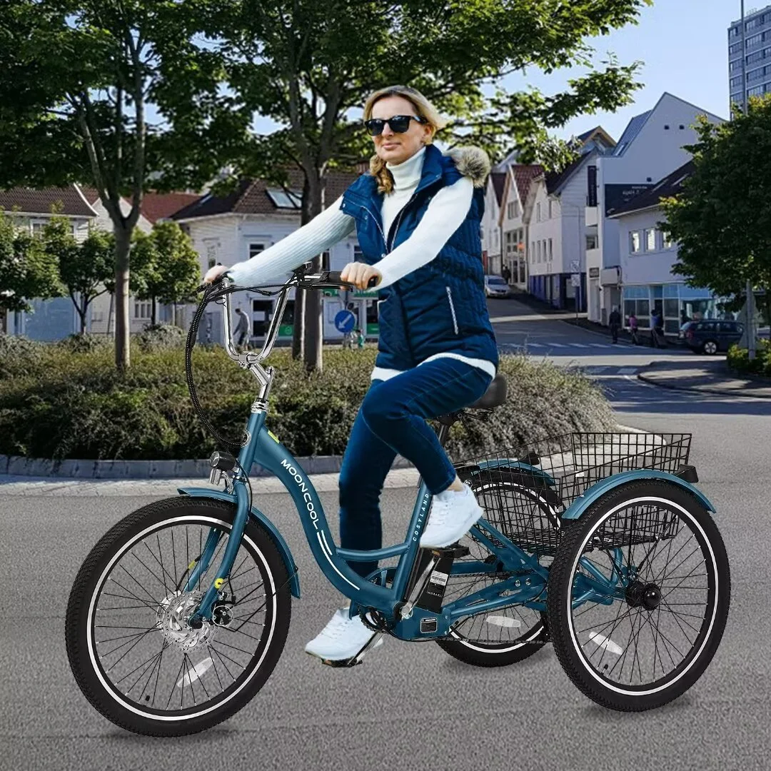 Docred 24'' Adult Electric Tricycles 3 Wheel Electric Bike, 15.5 mph 500W Electric Trikes for Seniors .7-Speed & 4 Adjustable Riding Modes Electric Tricycle with 36V Removable Lithium Battery - Womvr