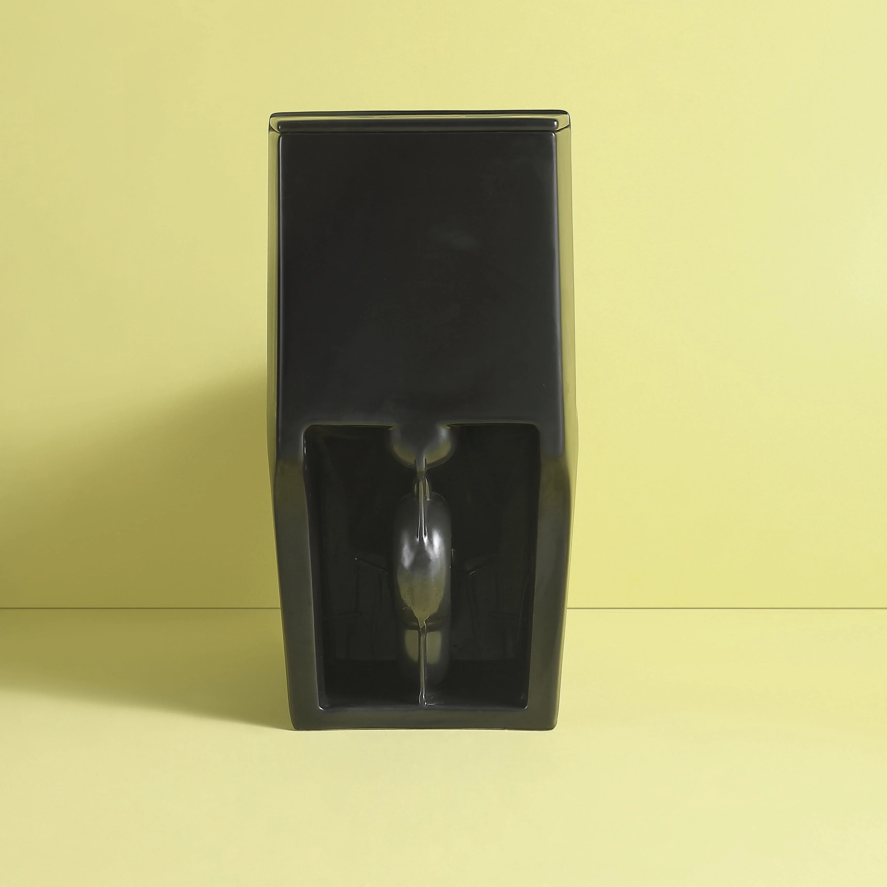 Miniyam 1.1/1.6 GPF Dual Flush Elongated Toilet with Soft-Close Seat, Black - Womvr