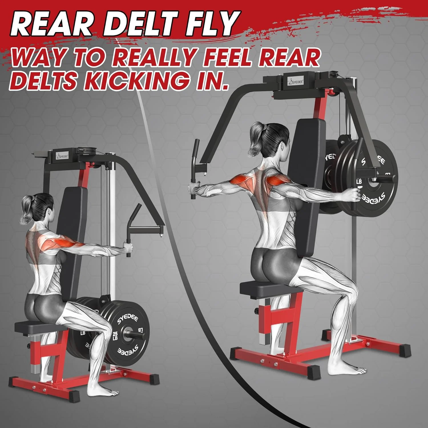 syedee Chest Fly and Reverse Delt Machine, 400 lbs Upper Body Specialty Machine for Pectoral and Rear Deltoid for Home Gym - Womvr