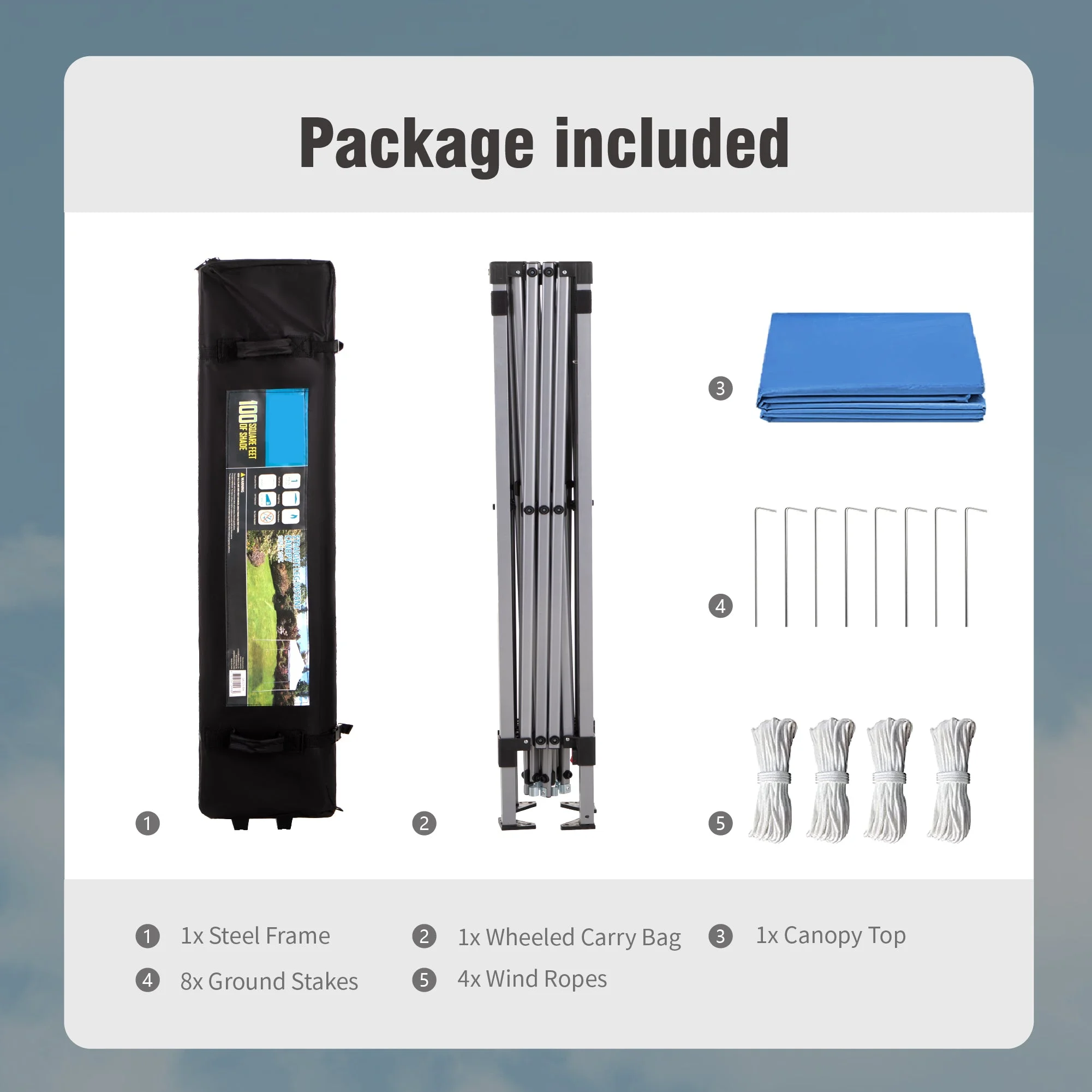 Alpha Joy 10'x 10' Pop up Canopy Tent Outdoor Event Instant Tent with Roller Bag, Blue - Womvr