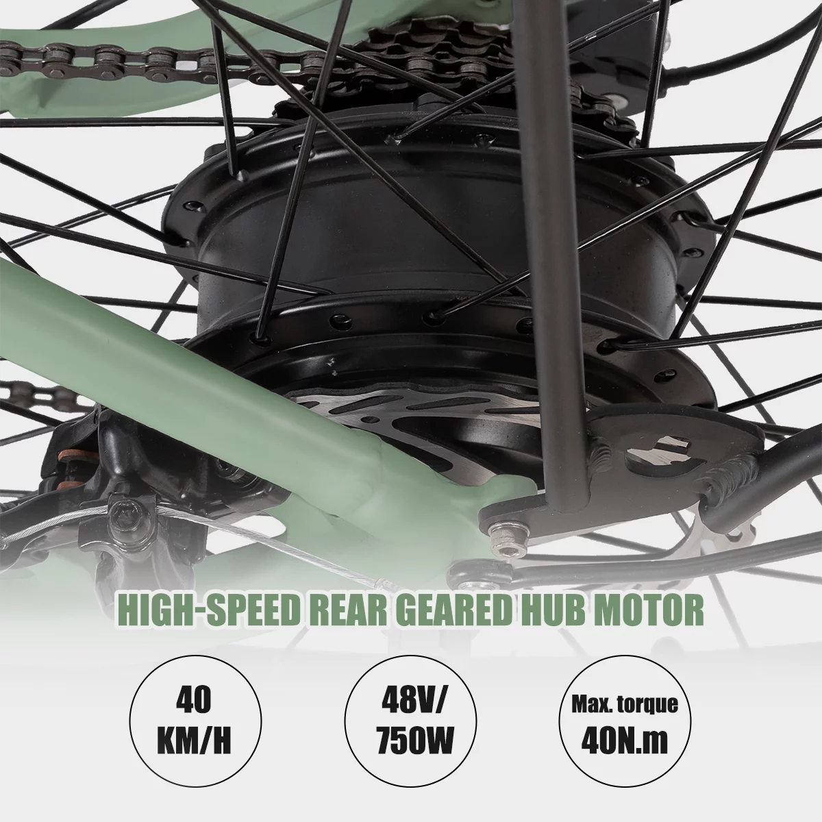 HILAND High Power Electric Bike for Adults, 750W 48V Motor Off-road Electric Mountain Bicycle, 26