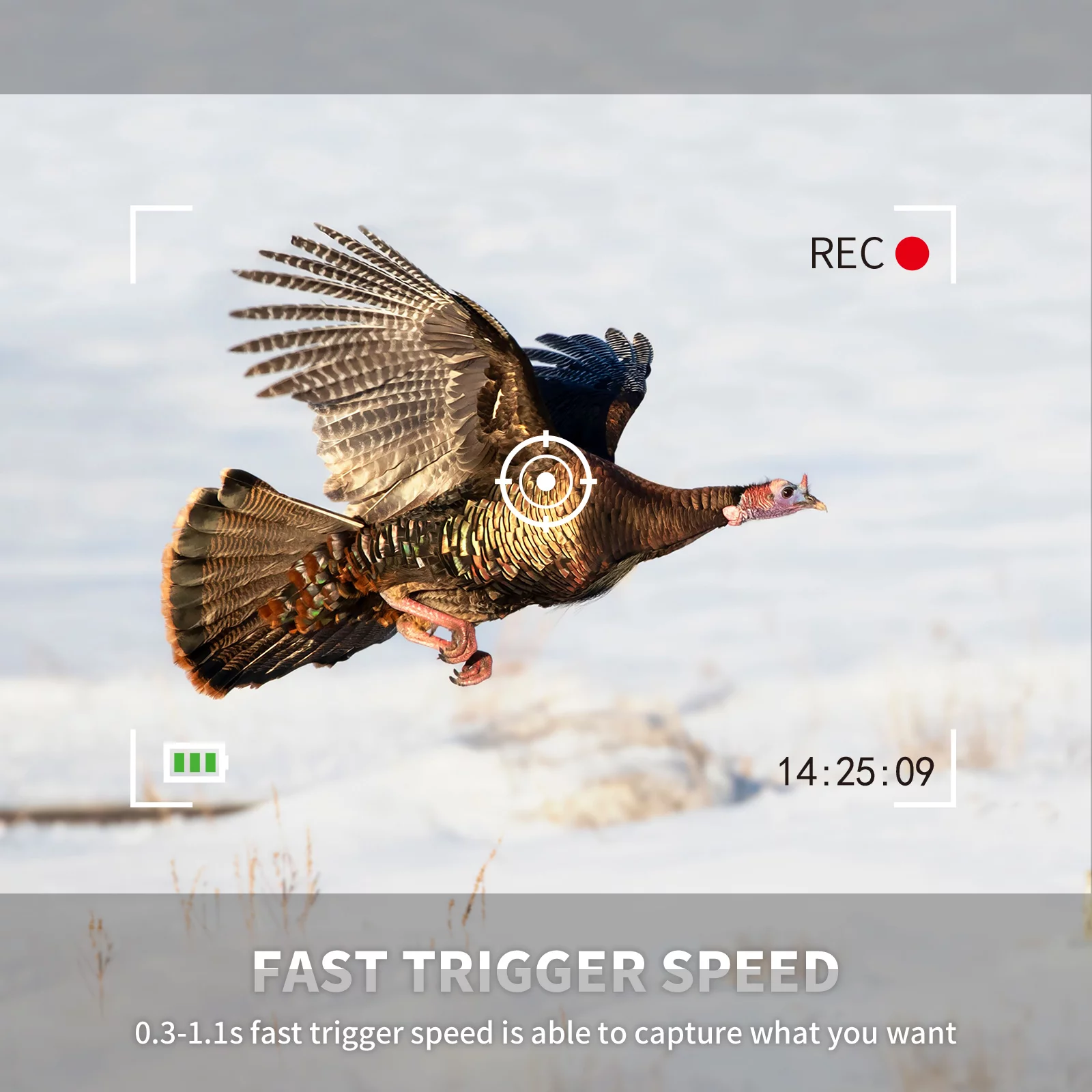 WOSPORTS Mini Trail Camera 24MP 1080P Waterproof Infrared Digital Hunting Game Camera - Womvr