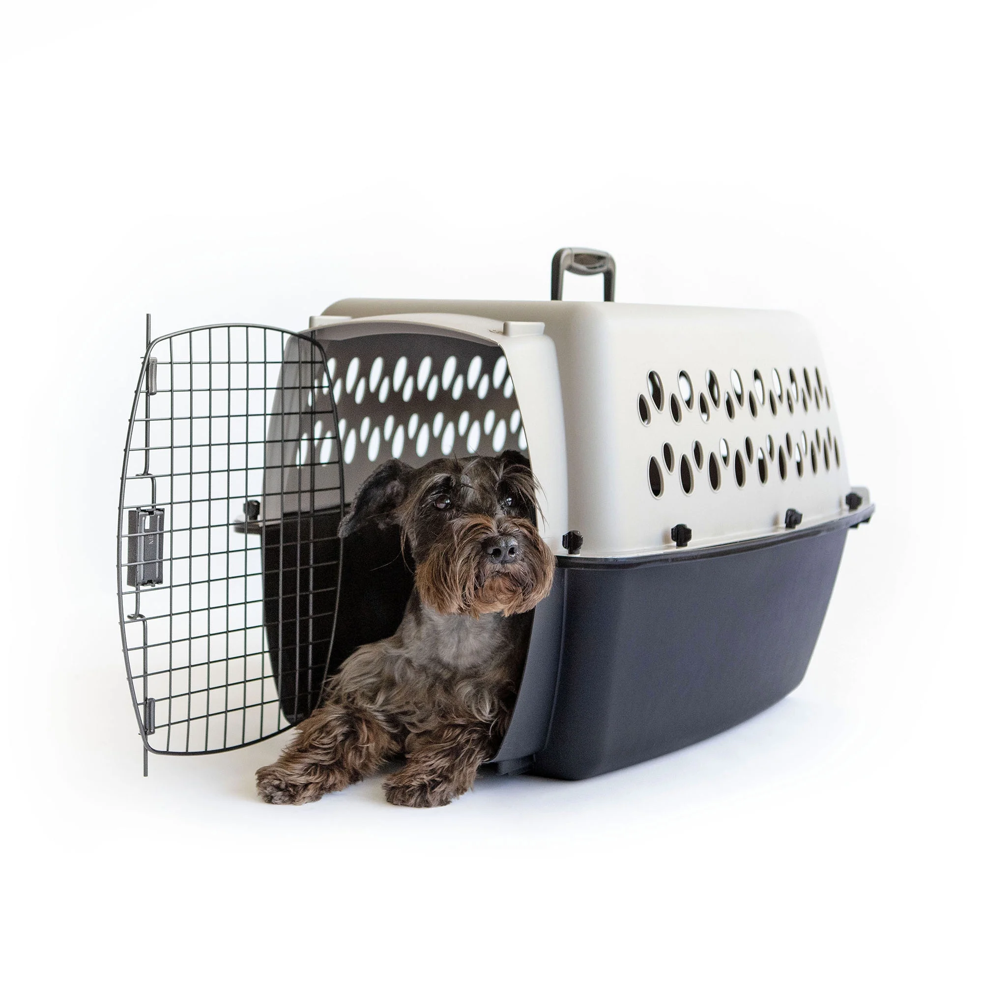 Vibrant Life Pet Kennel 19