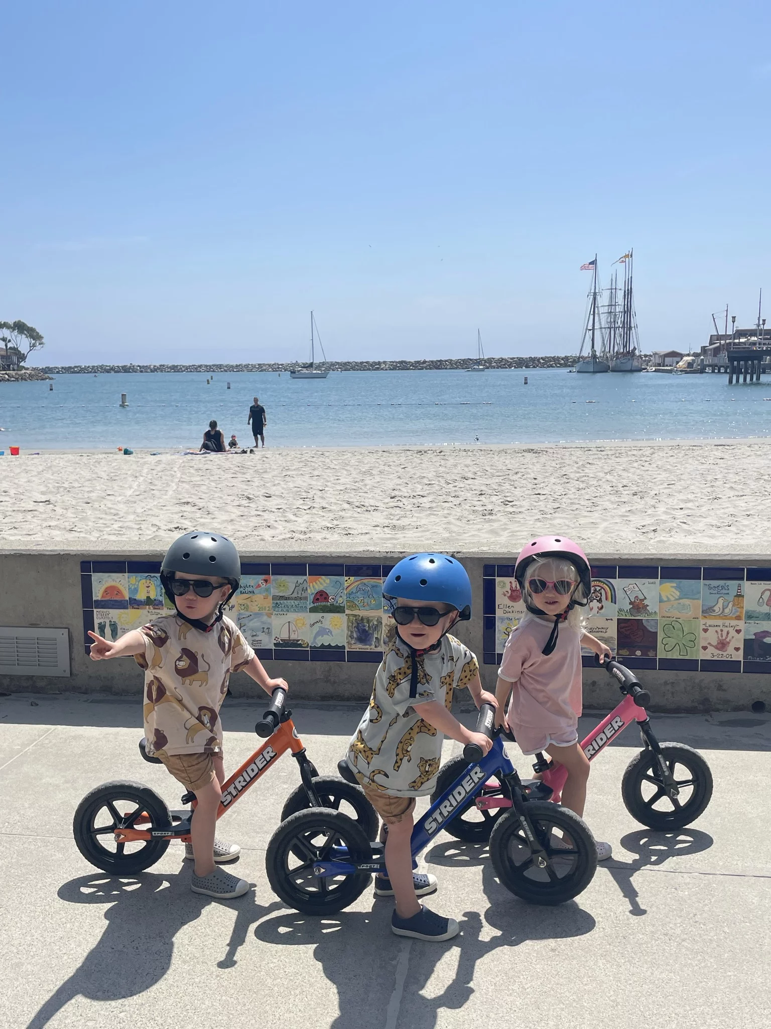 Strider - 12 Sport Balance Bike, Ages 18 Months to 5 Years - Blue - Womvr