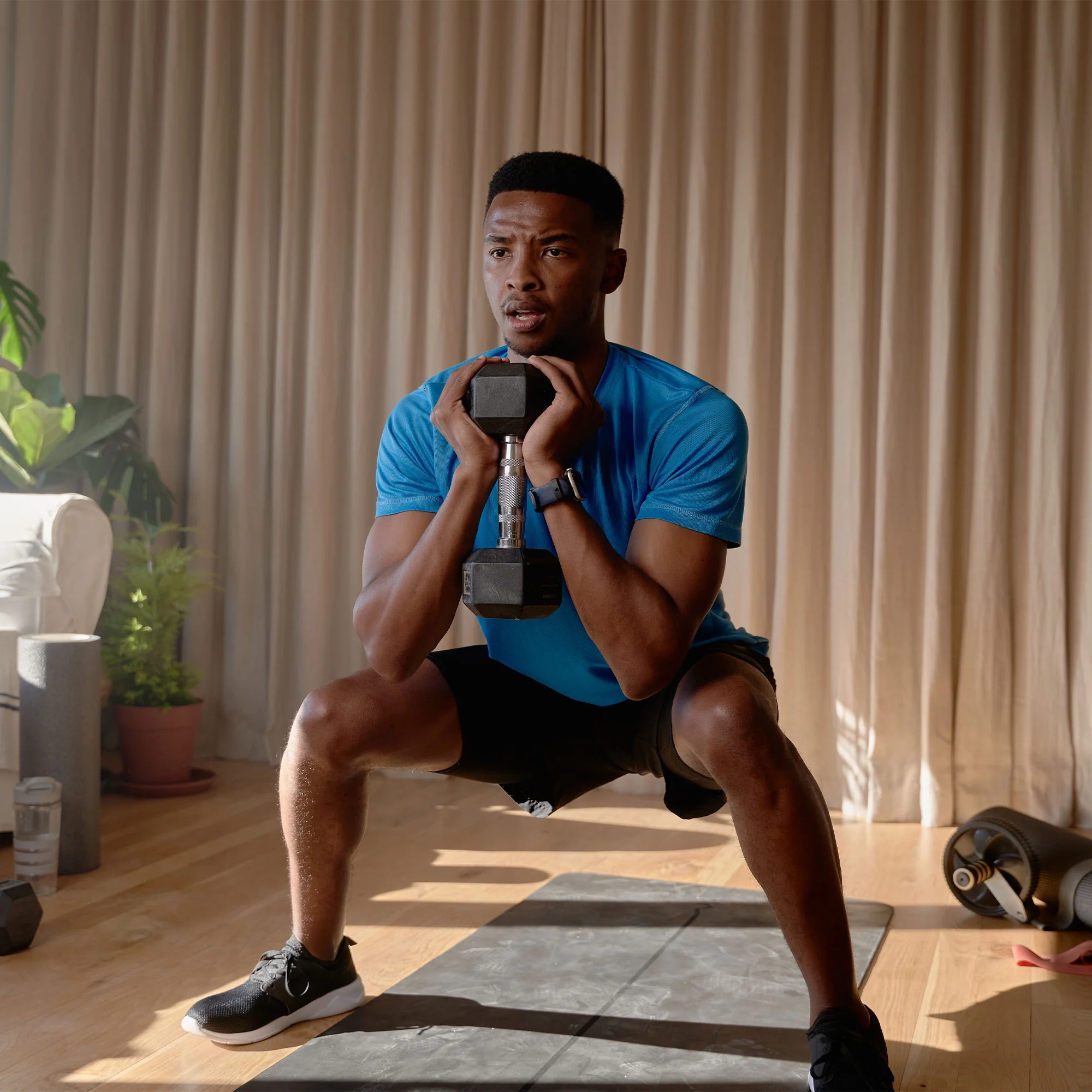 HolaHatha Iron Hexagonal Cast Home Exercise Dumbbell Free Weight, 30 Pounds - Womvr