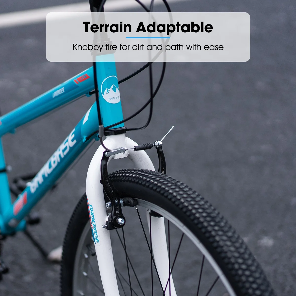 Hiland 24 26 inch Mountain Bike for Men Women, 21 Speeds MTB Bicycle for Adult Youth - Womvr