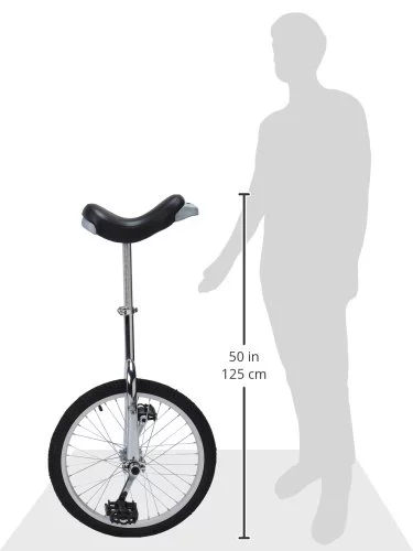 Fun 20 inch Unicycle with Alloy Rim, Blue - Womvr