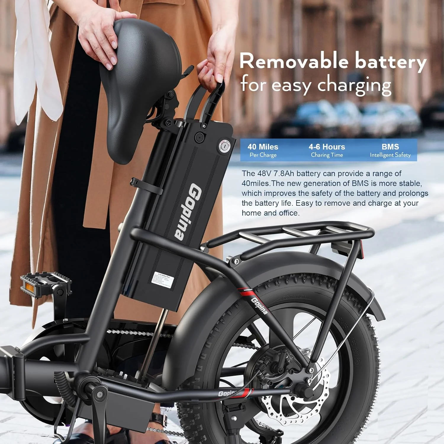 Vivi Electric Bike 16