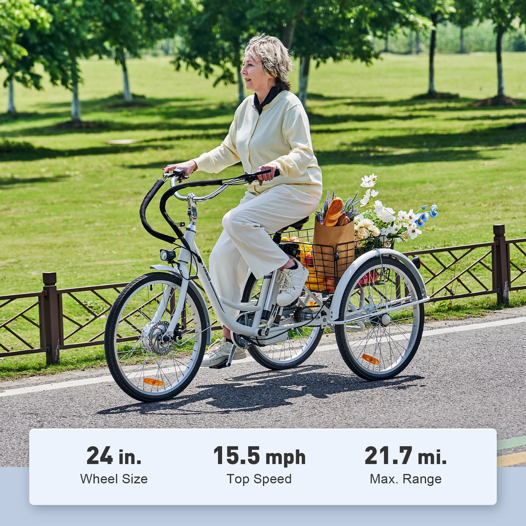 VIRIBUS 24 Inch Adult Trike 350W Dual Chain Electric Tricycle 36V 10Ah Navy - Womvr