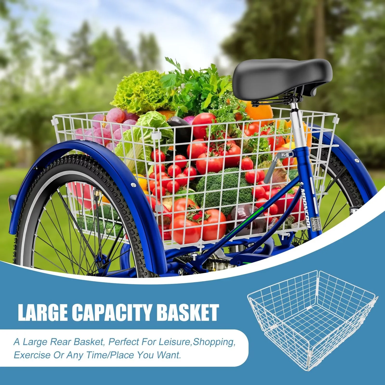 MOPHOTO Adult Tricycle 20/24/26 inch 3 Wheel Bicycle,3 Wheel Bikes for Adults,7 Speed Low Stepover Frame Tricycle with Basket/Bell,3 Wheel Bicycle for Seniors,Women,Men - Womvr