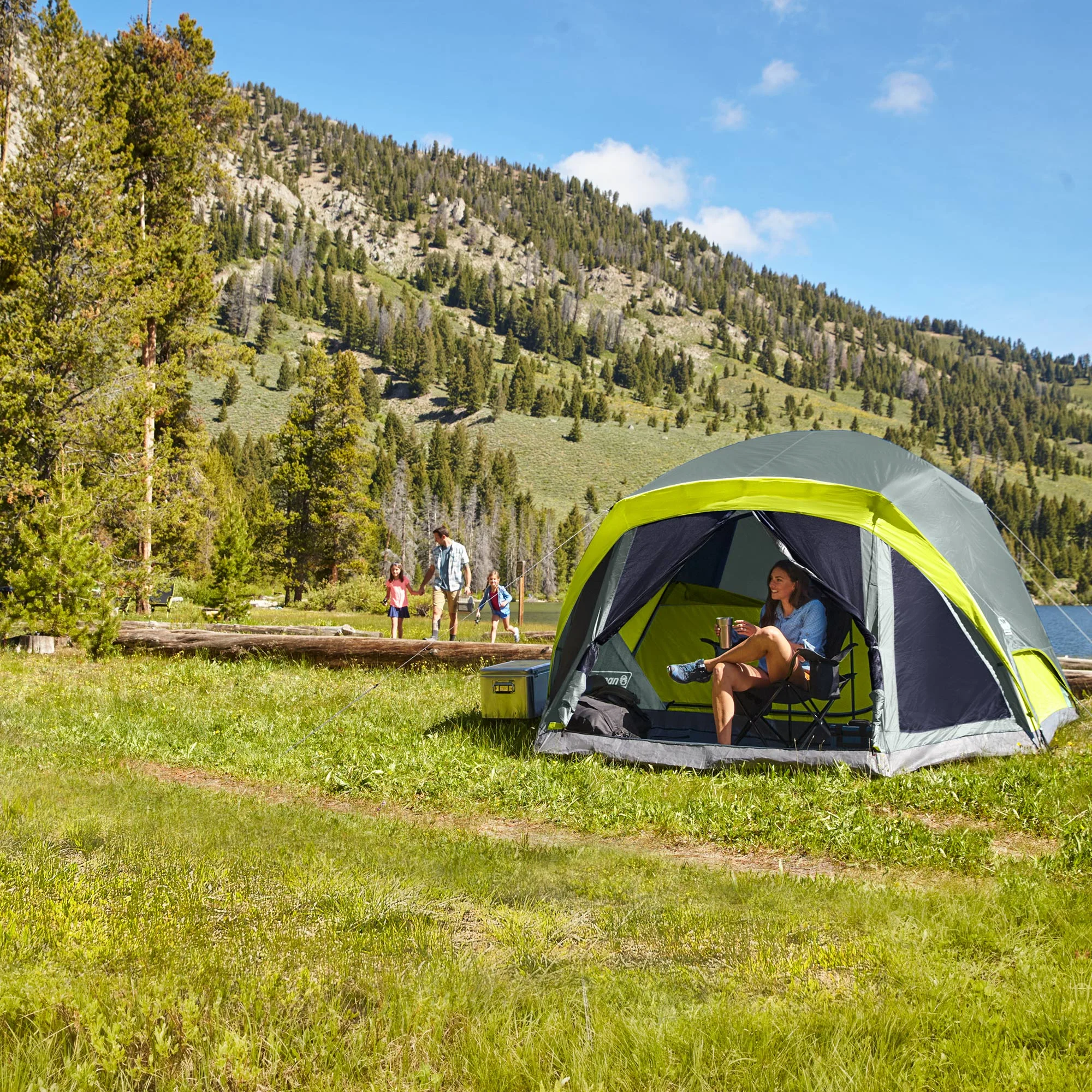 Coleman Skydome 6 Person Camping Tent with Screen Room and Bag, Rock Gray - Womvr