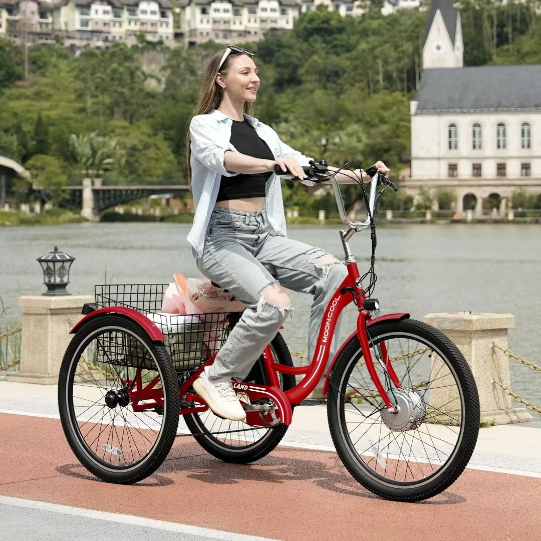Docred 3 Wheel Electric Bike, 15.5 mph 500W Electric Tricycles for Adult .36V 7 Speeds Electric Trike,24In - Womvr