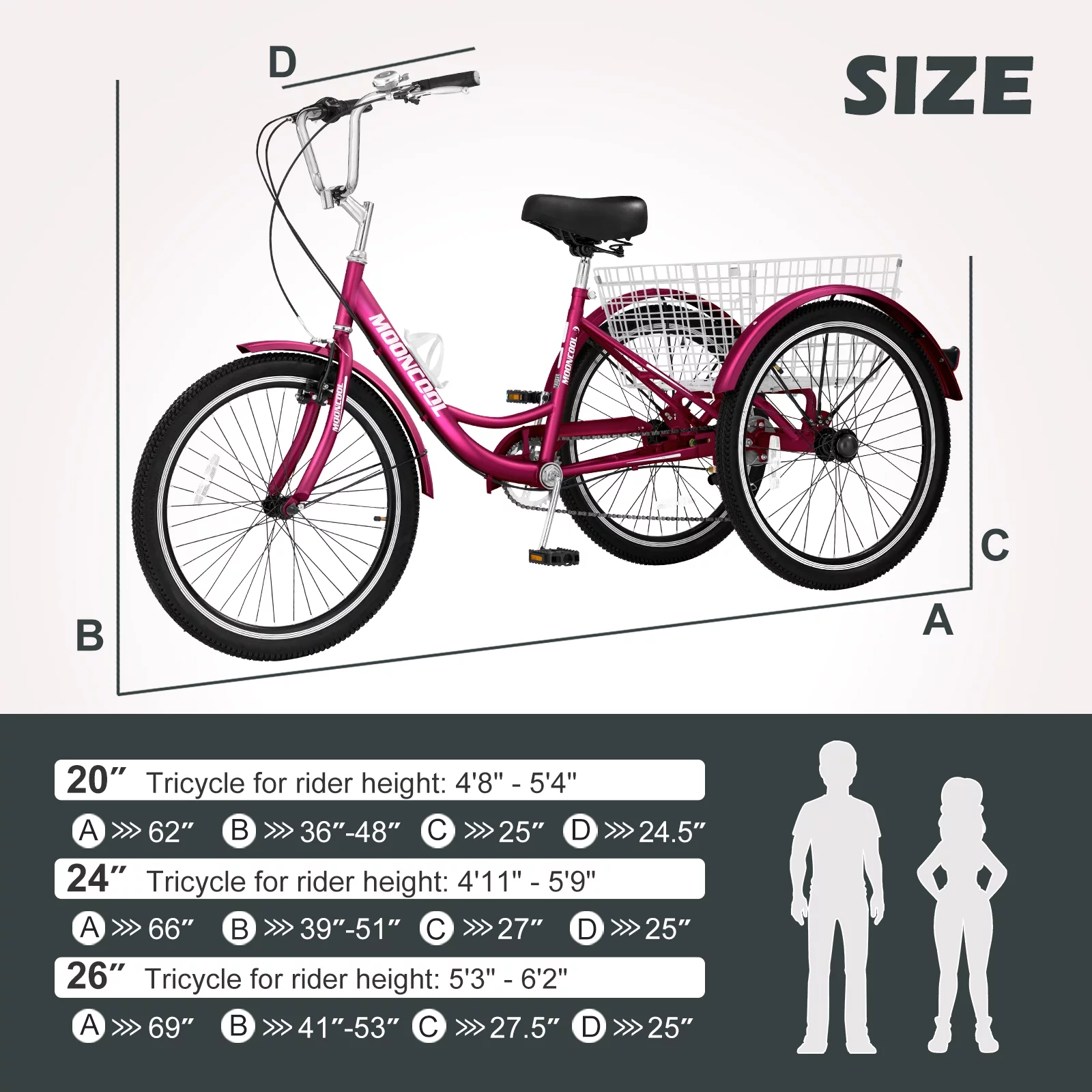 MOPHOTO Adult Tricycle 20/24/26 inch 3 Wheel Bicycle,3 Wheel Bikes for Adults,7 Speed Low Stepover Frame Tricycle with Basket/Bell,3 Wheel Bicycle for Seniors,Women,Men - Womvr