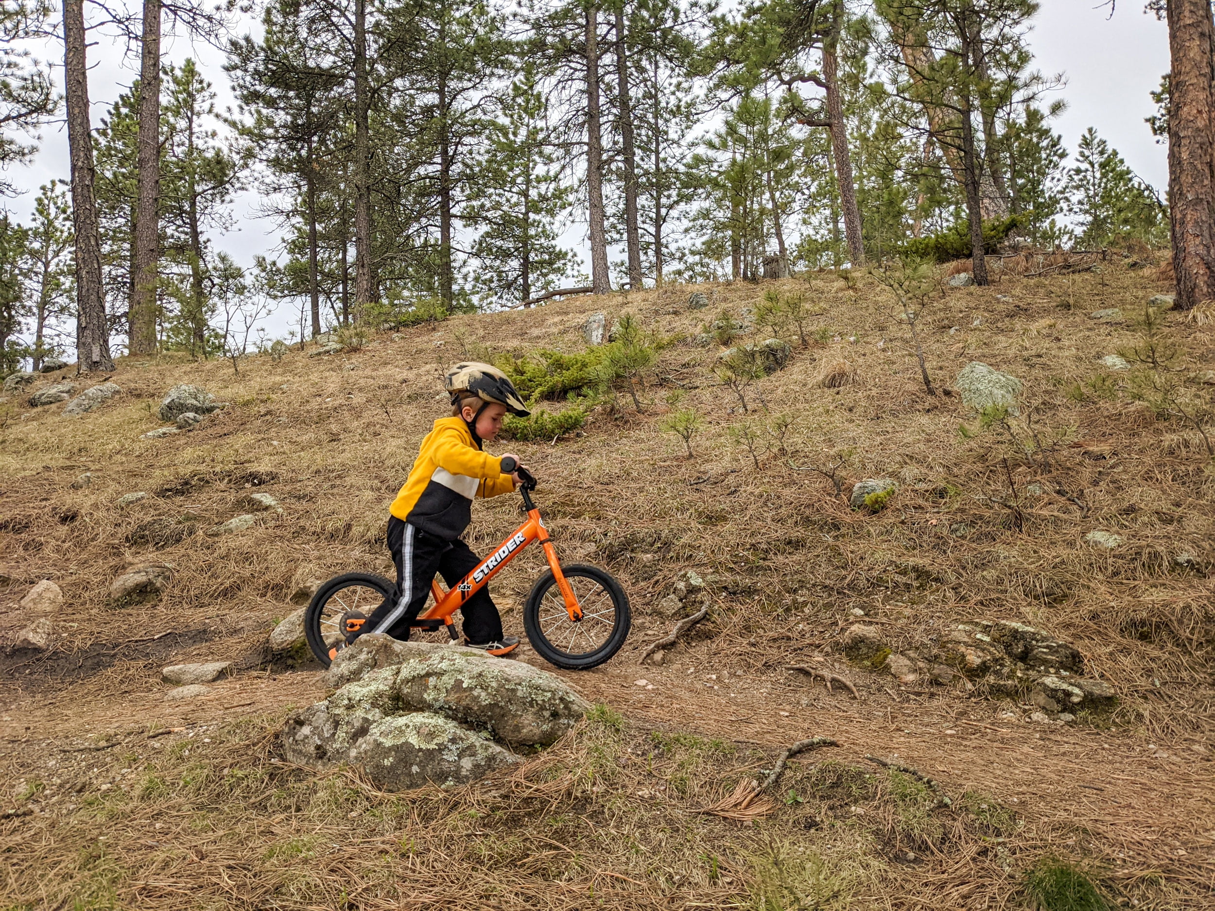 Strider - 14x Sport Balance Bike, Ages 3-7 Years, Pedal Conversion Kit Sold Separately - Awesome Blue - Womvr