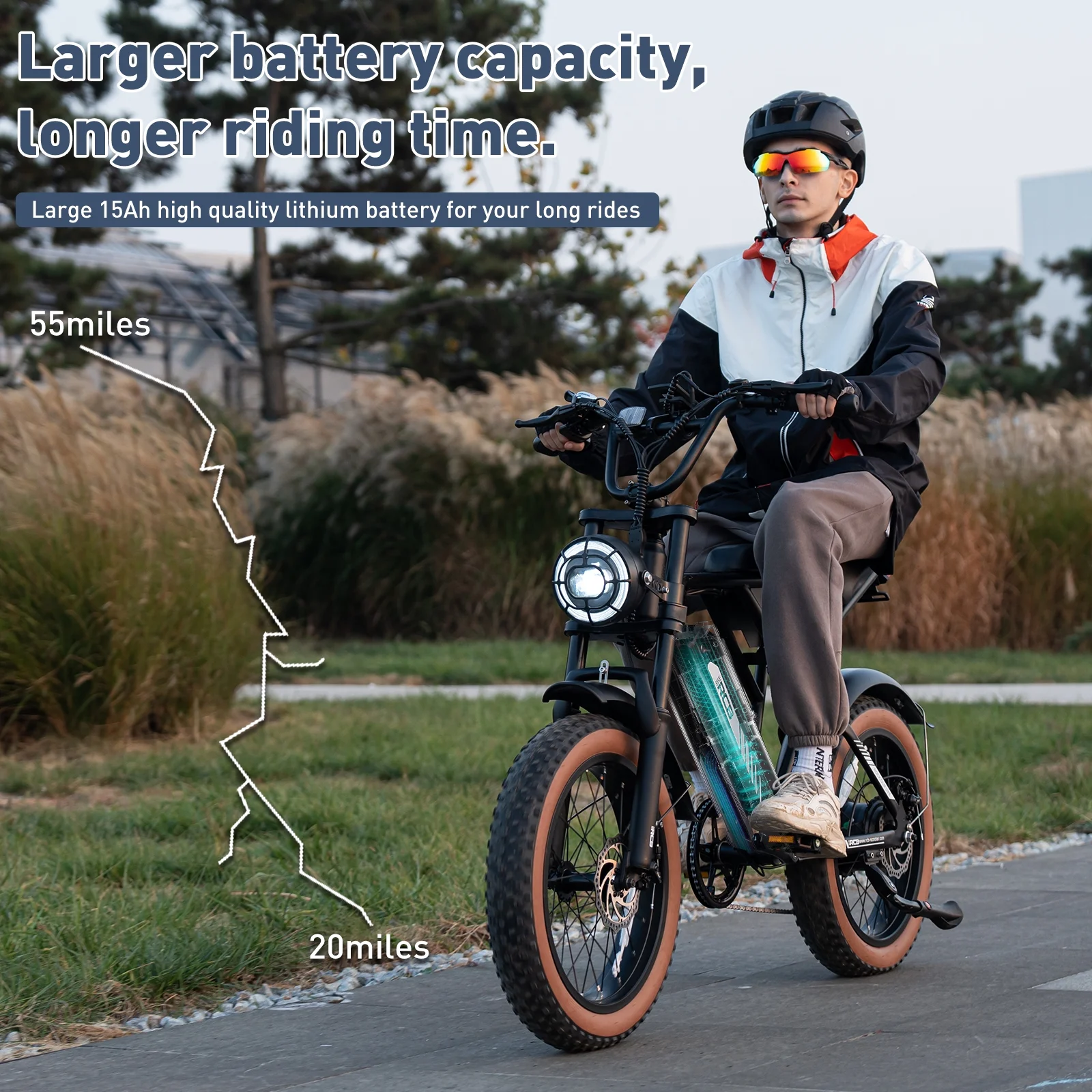 RCB 750W Electric Bike for Adults, 48V 15Ah Removable Li-Ion Battery, 20