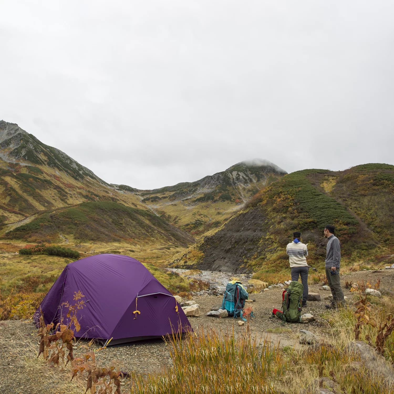 Naturehike Mongar Backpacking Camping Tent 2 Person Lightweight Waterproof with Footprint - Womvr