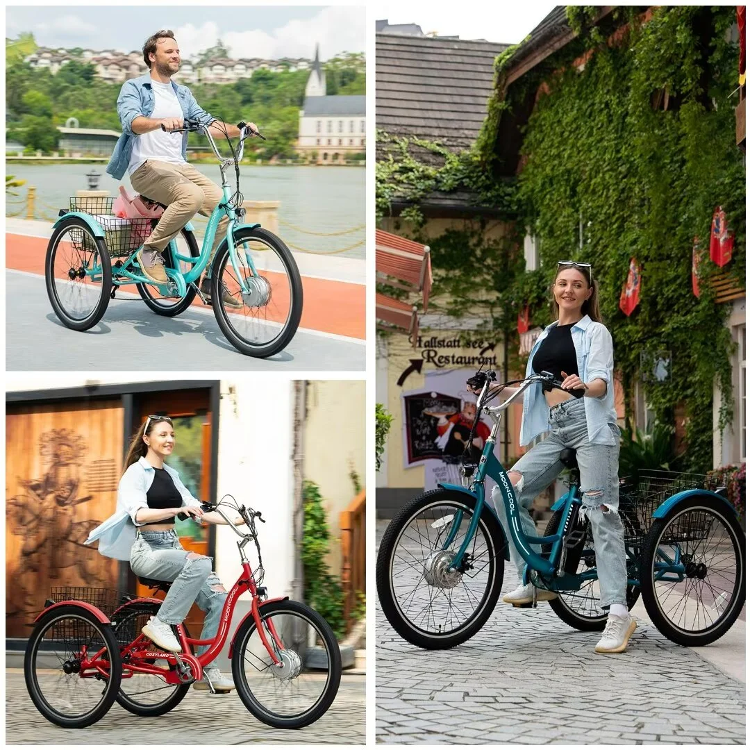 Docred 24'' Adult Electric Tricycles 3 Wheel Electric Bike, 15.5 mph 500W Electric Trikes for Seniors .7-Speed & 4 Adjustable Riding Modes Electric Tricycle with 36V Removable Lithium Battery - Womvr