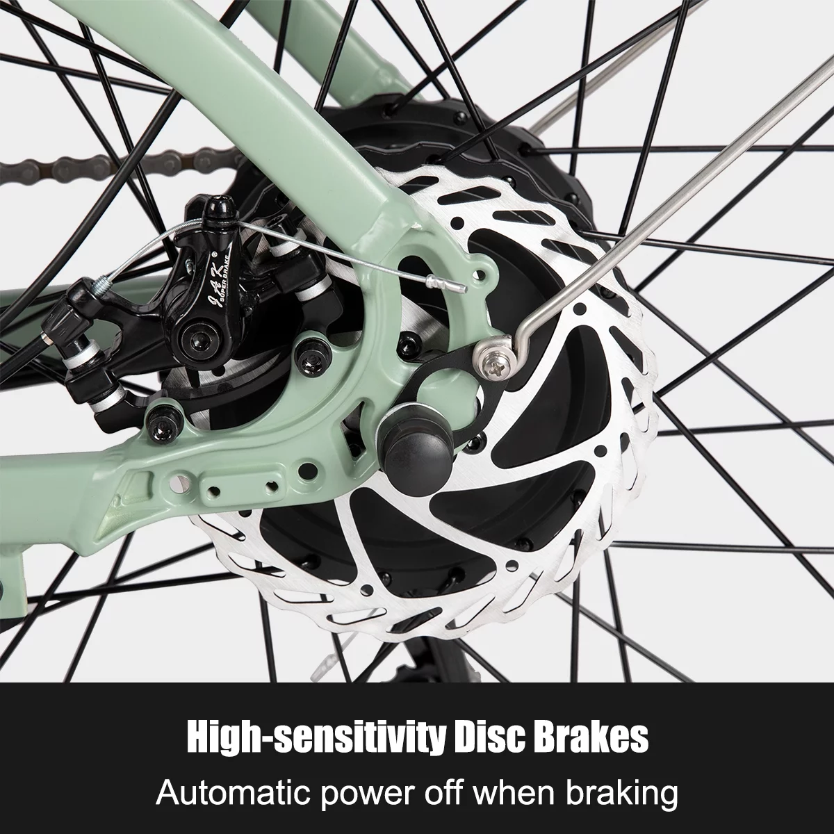 HILAND High Power Electric Bike for Adults, 750W 48V Motor Off-road Electric Mountain Bicycle, 26