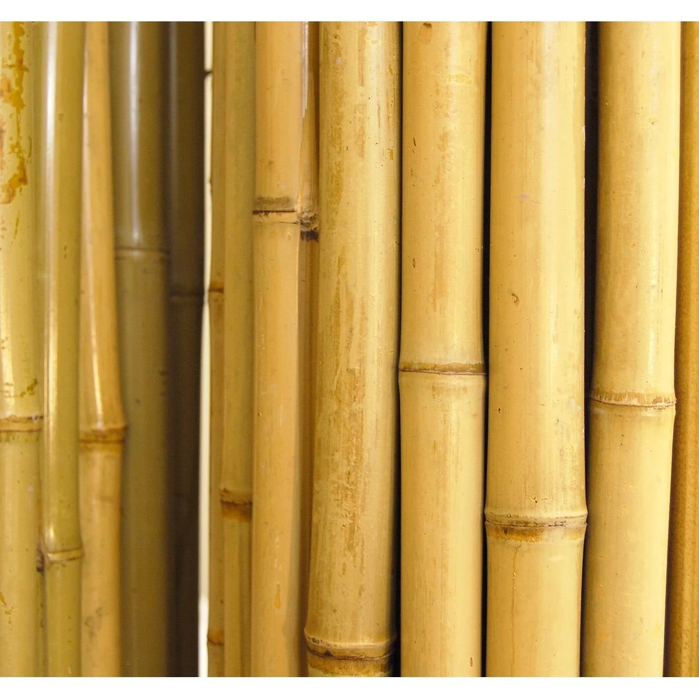 Backyard X-Scapes Natural Bamboo Fencing Garden Screen Rolled Fence Panel 3/4